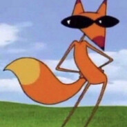 catdogy37
