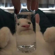 4w16