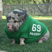 Skręcony Plebskins.arm