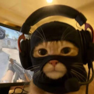 Angelo skins.army