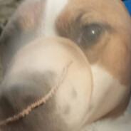 brakan