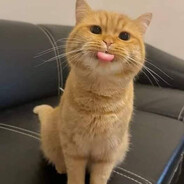 neegy