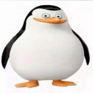 iPolanek