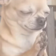 angry_robcio