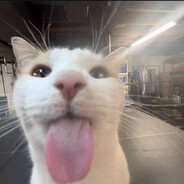 Oliz3KK