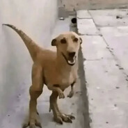 Sakqel