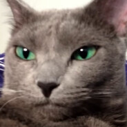 Bonzel