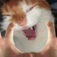 nieewelka
