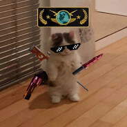 Nikorekk