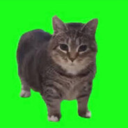 BineyATM