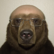 adas bear