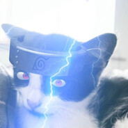 pussydestroyerswag420