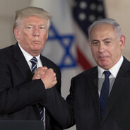 wazon8981