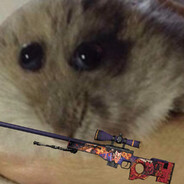 Pysio1