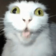 MEWKAJUSZ