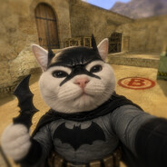 batman skins