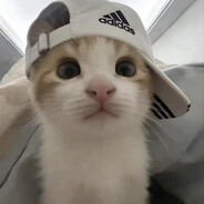 miko77777