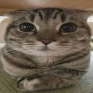 uuwkisz