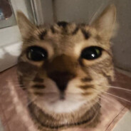 maciuraa