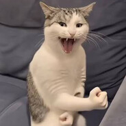 catzz_555