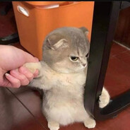 kebabbbb