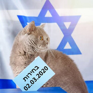 CrazyCat_PL