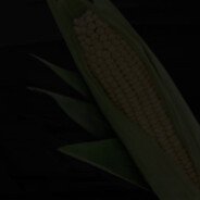 FurmanYalla